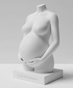 Busto 3D natural de embarazada