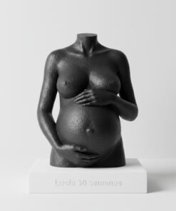 Busto 3D natural de embarazada