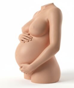 Busto 3D natural de embarazada